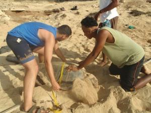 Impresiones tortugueras