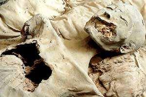 La momia de Nefertiti