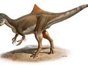 Nuevo tipo dinosaurio jorobado encontrado Cuenca