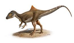 Nuevo tipo de dinosaurio jorobado encontrado en Cuenca