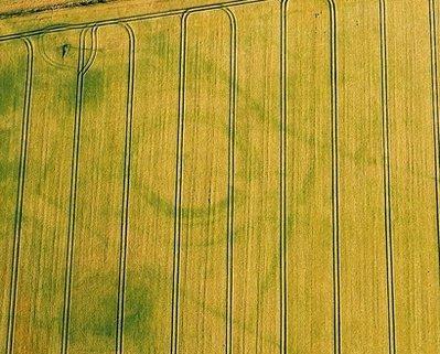 Siluetas de las edificaciones ocultas bajo el sembrado (Cuaderno de Ciencias)