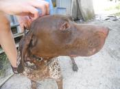 Luna, años vida desde cárcel 2x2. delito nacer braca (Murcia)