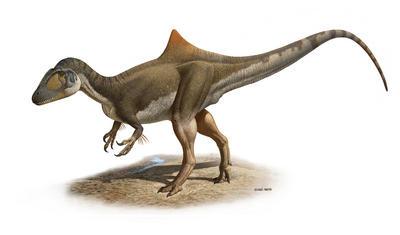 Presentan el primer dinosaurio con joroba
