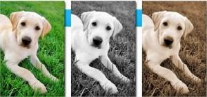 HolaLienzo fabricante de impresiones sobre lienzo