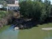 Ruta Genil