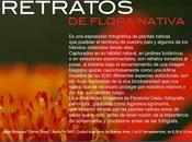 Retratos Flora Nativa, Jardin Botanico Carlos Thays.