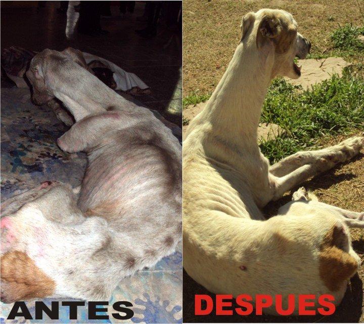 Jonás sigue olvidando su pasado