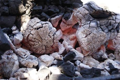 La Foto Quincenal: Vacaciones Brasas