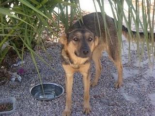 Hola soy nana y me han abandonado (MURCIA)