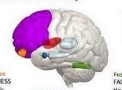 Científicos estudian cómo "transforma" cerebro espectador