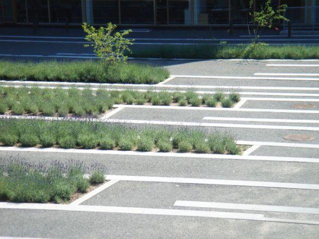 Finalistas Premio Rosa Barba: Marianne Levinsen Landskab MDL PLR