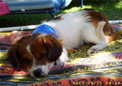 Buenas noticias de Marlene