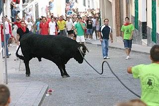 CARCABUEY VUELVE A VIVIR UNA INTENSA JORNADA CON EL TORO DE CUERDA COMO GRAN PROTAGONISTA