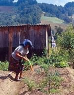 Por garantizar a las mujeres el acceso a la propiedad de la tierra