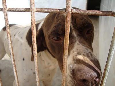 JACKIE Y NUCA, ayúdales a dar la vuelta al mundo