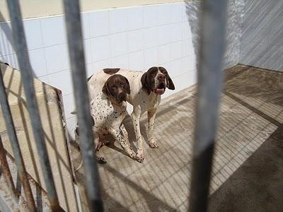 JACKIE Y NUCA, ayúdales a dar la vuelta al mundo