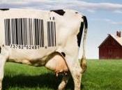 Comemos como vivimos