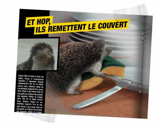 Campaña para Spontex Francia