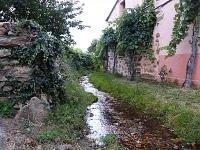 Sierra de la Culebra  (Zamora) - 20-29 de Agosto de 2010.