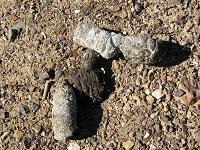 Sierra de la Culebra  (Zamora) - 20-29 de Agosto de 2010.