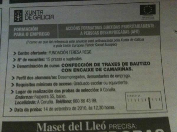 Reflexiones sobre la formación y el mercado laboral