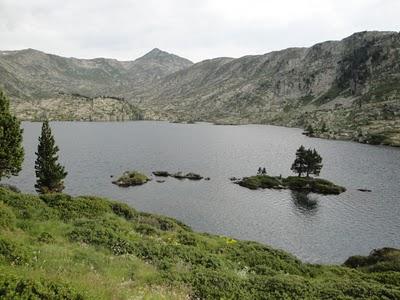 ¿Hay alguien por ahí?