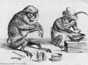 Primates sombreros anchos habilidades cognitivas amplias