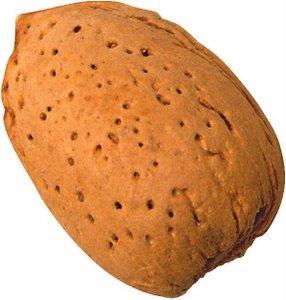  Findecocina: hoy gató