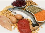 ¿Cómo Recicla Proteínas Cuerpo Humano?