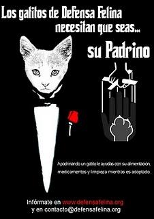 Campañas solidarias