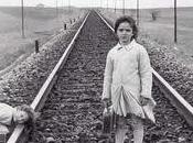 Perdemos tren ciencia, otra