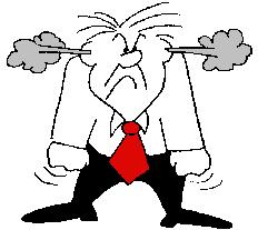 Mi segundo enemigo: La Bronca