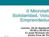 Microtaller Solidaridad, Voluntariado Emprendeduría Social