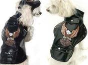 Animalistas moteros unios... favor Amidea