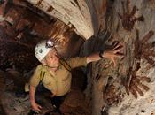 cuevas Mulu, Borneo