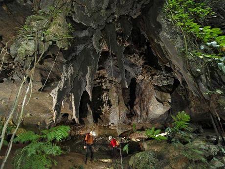 Las cuevas Mulu, Borneo