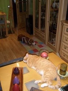 Novedades de Sin, hoy Sherlock