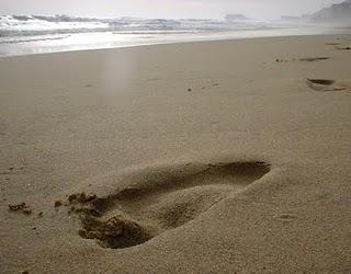 ARENACuando el hombre llegó me ofreció un ramo de rosas, ...