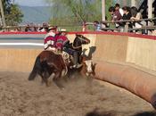 Rodeo Chileno