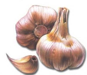 El Ajo Eficaz Contra La Infección y La Prevención De Enfermedades