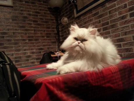 Androidografia Barakaldo 1661