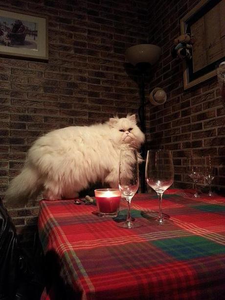 Androidografia Barakaldo 1663