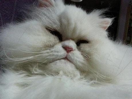 Androidografia Barakaldo 1660