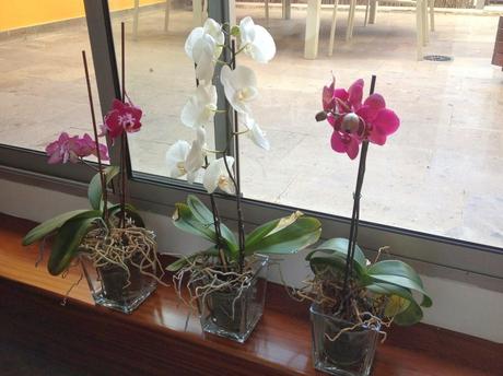 En el taller de Aurelia Gil