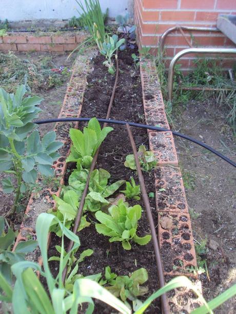 PREPARANDO EL HUERTO VERTICAL PREPARANDO EL HUERTO VERTICAL