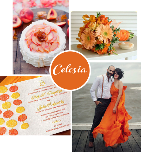 Inspiration board: Celosia