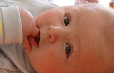 Fuentes naturales de ácido fólico Fuentes naturales de ácido fólico