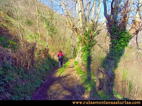 Ruta peña Manteca o Horru: Sendero a las Praderas