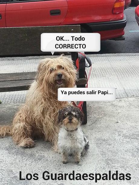 estamos tan agustito