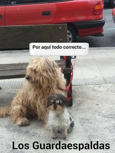 estamos tan agustito